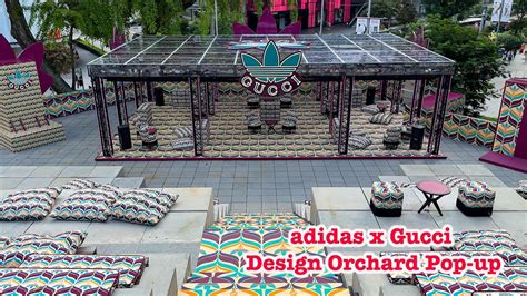 adidas x Gucci Design Orchard Pop